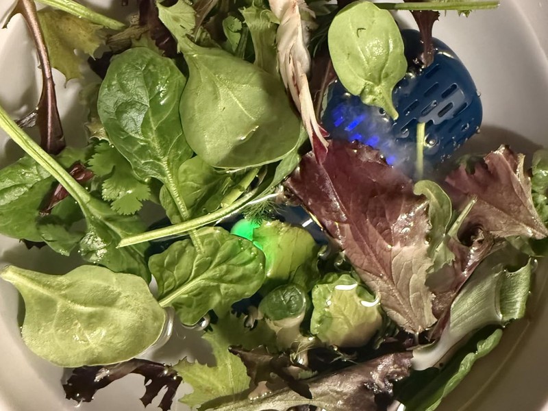 PurePod cleaning leafy salad greens in a bowl